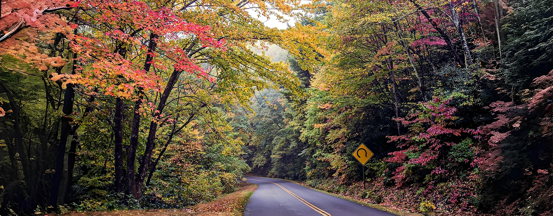 Advanced Dental Care for a Healthy & Beautiful Smile